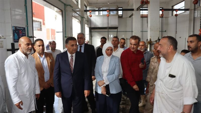 محافظ القليوبية 