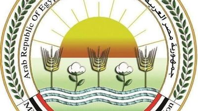 تحذير من الزراعة.. صفحات مزيفة على فيسبوك تَدّعي بيع منتجات الوزارة رسمياً