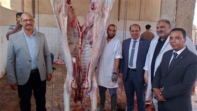 محافظ الدقهلية: المجازر الحكومية تواصل أعمال ذبح الأضاحي طوال أيام العيد