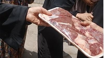 تعزيز التواصل المجتمعي.. «العيد يجمعنا» تواصل رسم البهجة في الإسماعيلية