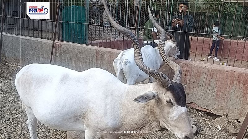 حديقة حيوان الفيوم