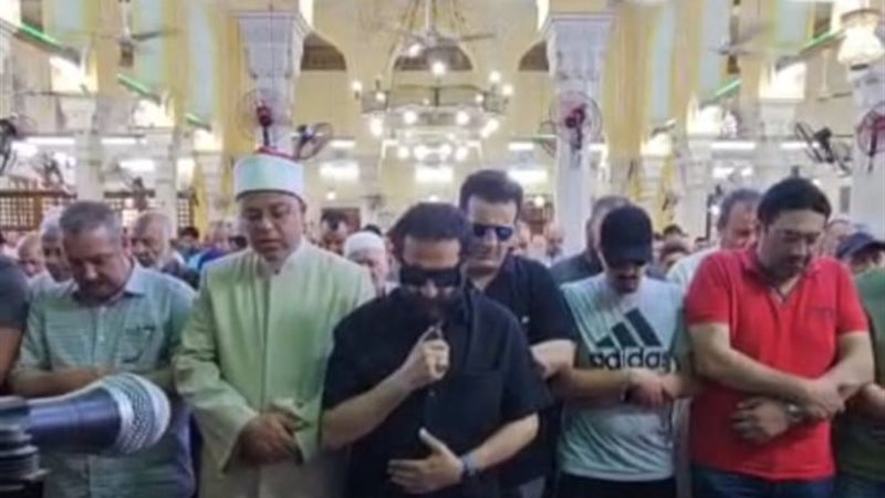 أحمد حلمي 