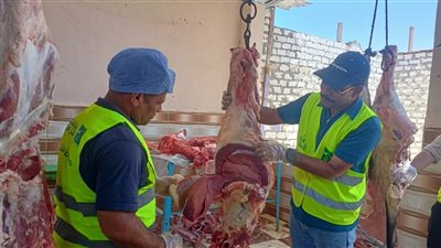 بالتعاون مع مصر الخير.. قنا تختتم حملة الأضاحي بأكثر 127 رأس ماشية 