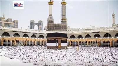حججت قارنا ولم أذبح هديا جهلا مني فماذا أفعل؟.. لجنة الفتوى توضح