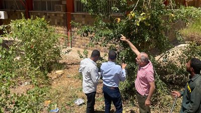  جامعة أسوان تستعد لاستئناف امتحانات الفصل الدراسي الثاني عقب إجازة عيد الأضحى