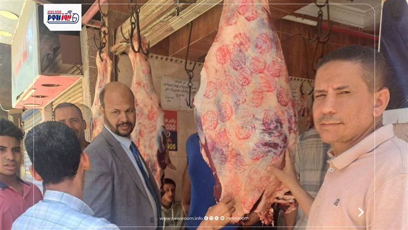 حملات تفتيشية بالمنيا