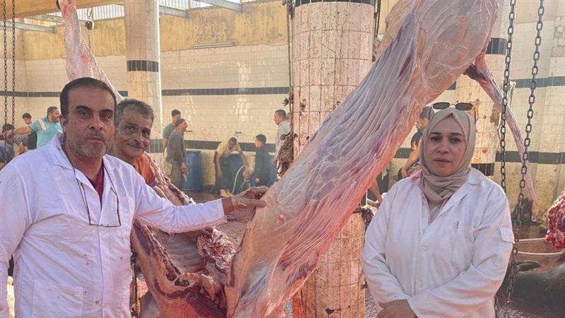 الإشراف الحكومي على