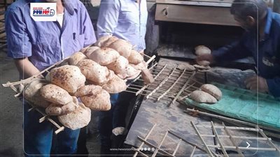 ضبط سلع مجهولة المصدر ومخالفات بالمخابز.. 156 محضراً تموينياً في المنيا