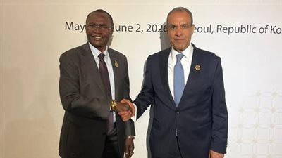 وزير الخارجية ونظيره الجنوب سوداني يبحثان تعزيز التعاون وملف نهر النيل