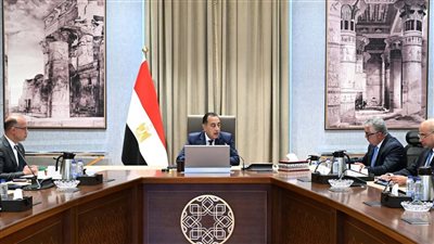 رئيس الوزراء يبحث مقترح إنشاء مركز توزيع لوجيستي عالمي باقتصادية قناة السويس 