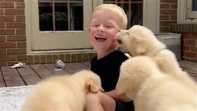 ضحك الأطفال يمكن أن يجعل أدمغتهم أكثر مرونة وتسهل عملية التعلم