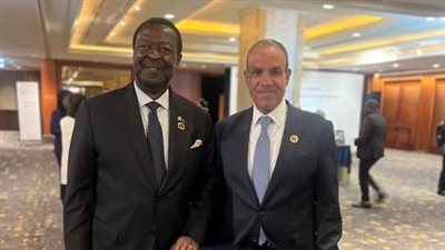 مصر وكينيا تبحثان تعزيز الاستثمارات والتعاون في قضايا النيل