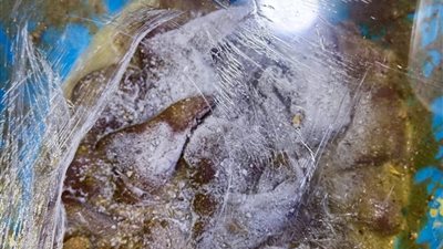ضبط دواجن ولحوم مجهولة المصدر خلال حملة تفتيشية مكبرة بأسواق دمياط