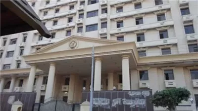 بالتنسيق مع الغربية والقليوبية.. أمن المنوفية ينجح في تحرير طفلين مختطفين 