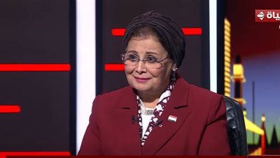 خفض الإنجاب يدعم التنمية.. الصحة تكشف نتائج الجهود السكانية في مصر