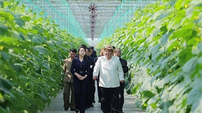 زعيم كوريا الشمالية يتفقد مجمع دفيئات زراعية ويصفه بنموذج للتنمية