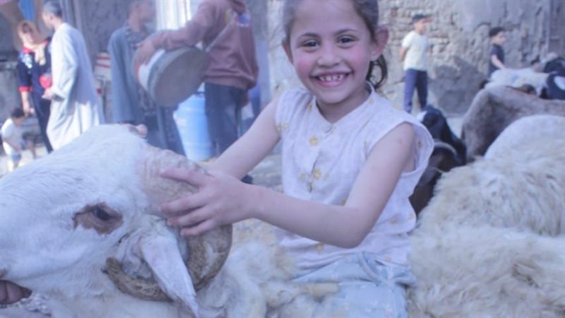 الطفلة فى اخر صورة