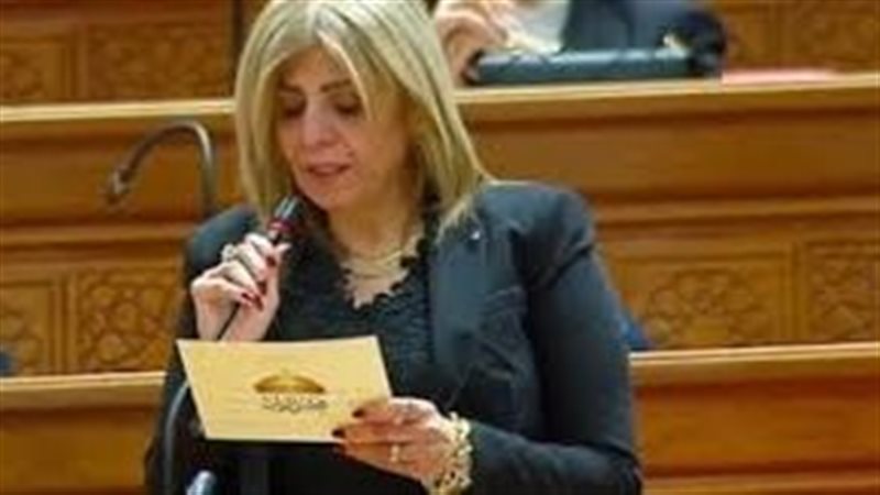 النائبة أميرة فؤاد