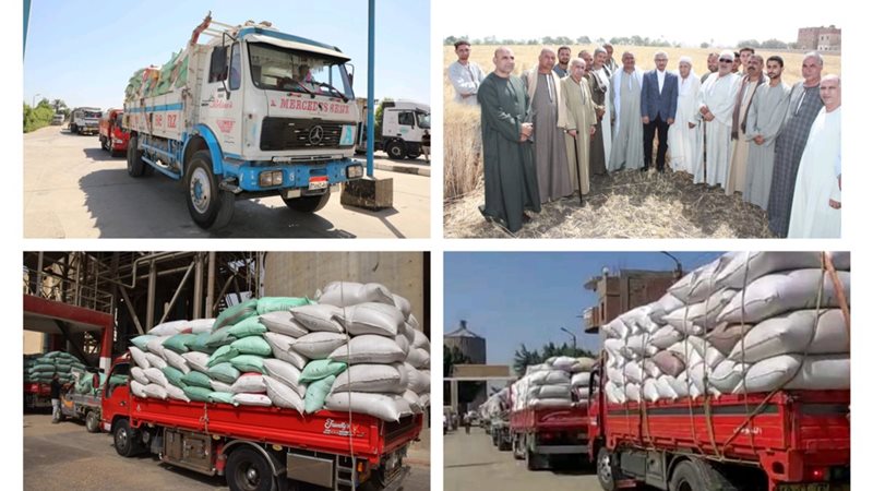 محافظ بنى سويف والمزارعين
