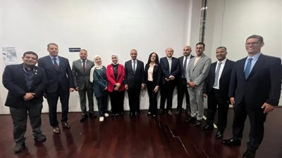 وزير الخارجية يلتقي الجالية المصرية في كوريا الجنوبية ويشيد بدورها