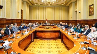 التخطيط تكشف ملامح خطة 2026/2027 باستثمارات 3.7 تريليون جنيه للشيوخ