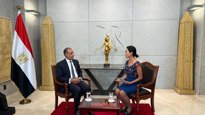 وزير الخارجية: مصر تدفع نحو تهدئة إقليمية وتدعم مفاوضات واشنطن وطهران