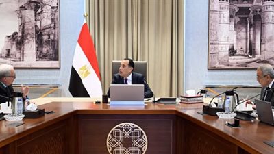 رئيس الوزراء يبحث مع نائبه للشئون الاقتصادية مستقبل 59 هيئة اقتصادية