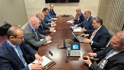 وزير العمل يبحث بجنيف تعزيز التعاون والتشغيل مع نظيريه الجزائري والسوداني