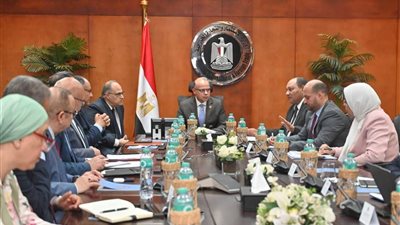 تحالف ثلاثي بين الاستثمار والزراعة والدواء لدعم الصادرات المصرية