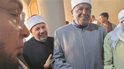 عفو ومصالحة في «بني محمديات».. أسر الضحايا تستجيب لدعوة شيخ الأزهر