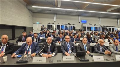 مصر ترحب باعتماد مشاركة فلسطين بمؤتمر العمل الدولي بـ394 صوتًا