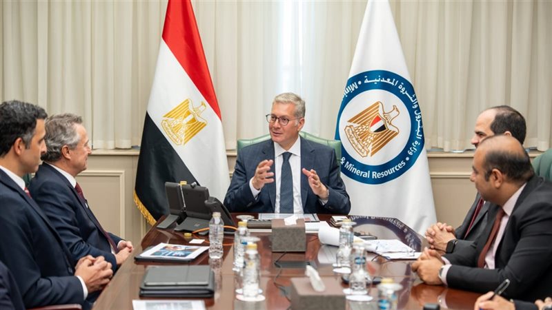 وزير الكهرباء 