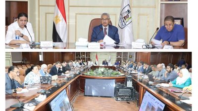 5051 عقد حصيلة أعمال لجنة البت فى طلبات تقنين أراضى أملاك الدولة ببنى سويف 