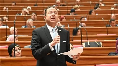 برلمانى يطالب بوضع جدول زمني لإنجاز المركز اللوجيستي العالمي بقناة السويس