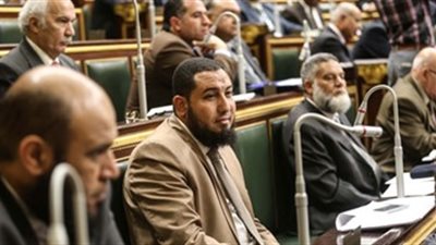 محمود رشاد يطالب الزراعة بحل أزمة أسمدة المحاصيل البستانية فورًا