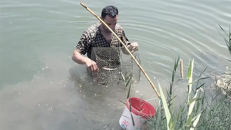 محمد عبيد 