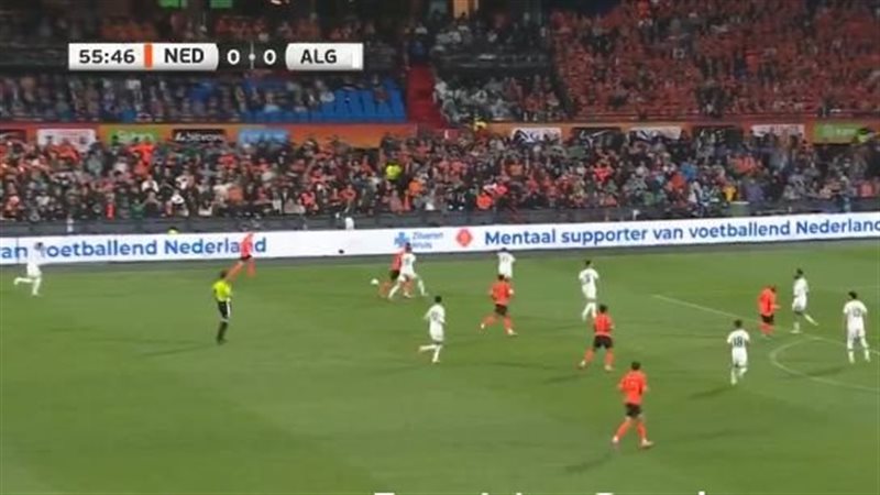 هولندا والجزائر في