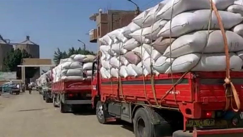 توريد القمح بصوامع