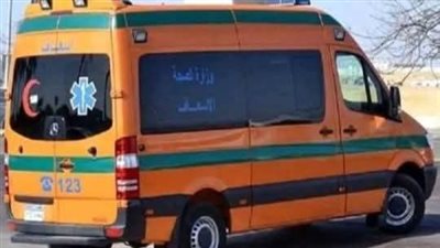 مصرع شخص إثر تصادم سيارة بالرصيف أمام إحدى القرى بالدقهلية