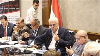 حسام بدراوي: بناء الإنسان وتمكين الشباب في صدارة أولويات الأمن القومي المصري