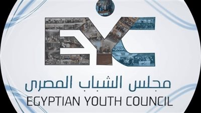 مجلس الشباب المصري: معالجة قضايا اللاجئين تتطلب الدقة والموضوعية