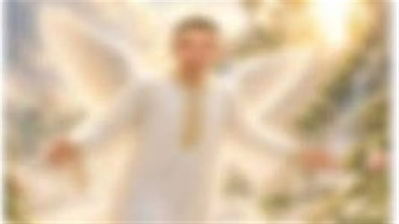 جانب من المنشور