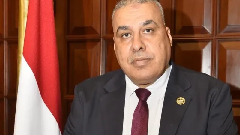 النائب محمد أبو النصر