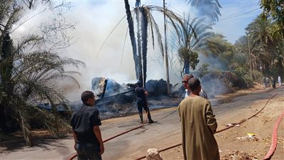 نفوق 6 رؤوس ماشية ومواتير إثر نشوب حريق فى قوص بقنا