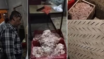 تموين الفيوم تضبط 450 كيلو جراما من صدور البانيه مجهولة المصدر
