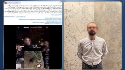 الداخلية تكشف ملابسات فيديو اتهام بتسميم كلاب ضالة بمدينة نصر