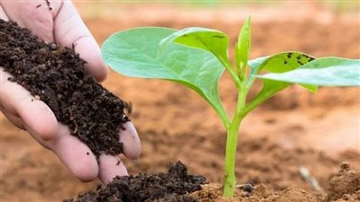 قبل بيعها بالسوق السوداء.. ضبط 2.5 طن أسمدة زراعية مدعمة بأسيوط