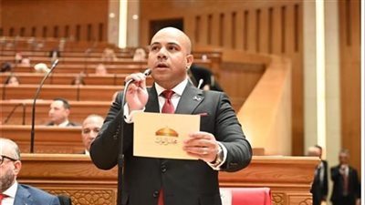 نائب العدل علي خليفة يتقدم بطلب إحاطة بشأن أوضاع الأسر المتضررة بكفر طهرمس