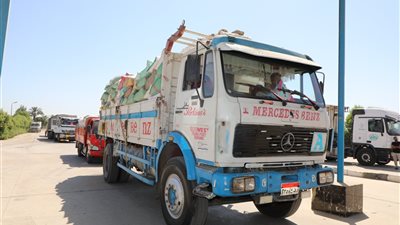 خيرات بلدنا.. 318 ألف طن قمح استلمتها صوامع وشون بني سويف منذ بداية الموسم