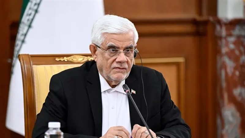 محمد رضا عارف